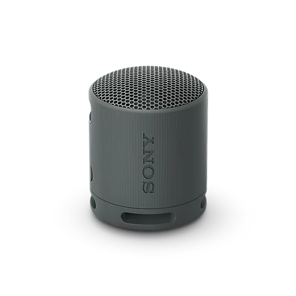 Image of suggested product: SONY XB100 Bluetooth Speaker, Black