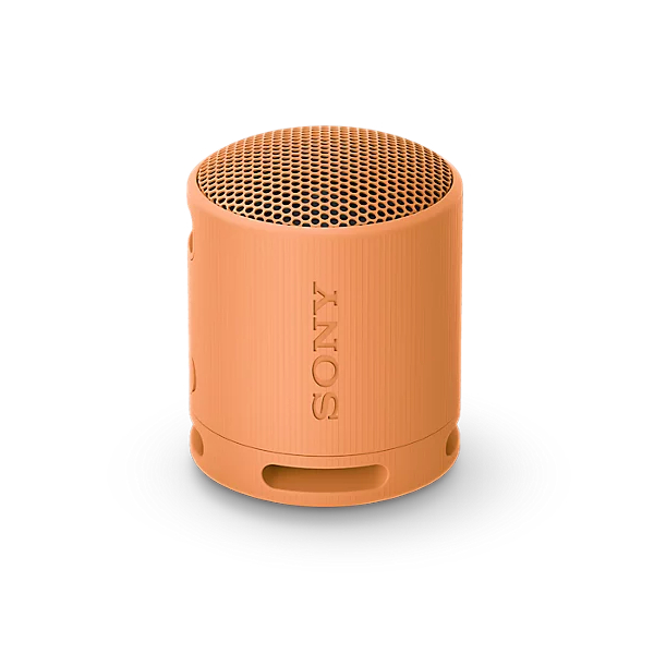 Image of suggested product: SONY XB100 Bluetooth Speaker, Orange