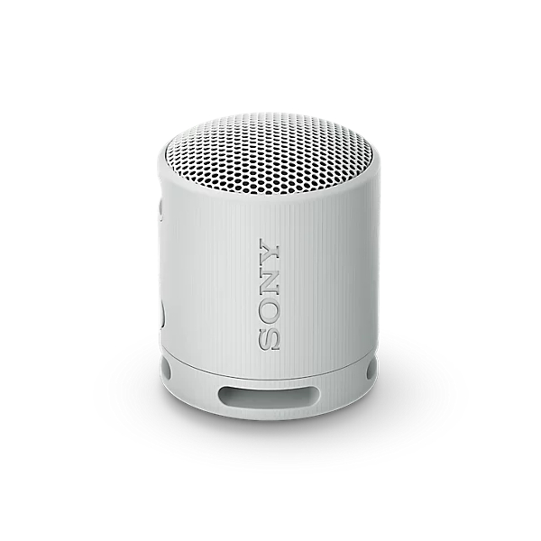 Image of suggested product: SONY XB100 Bluetooth Speaker, Grey