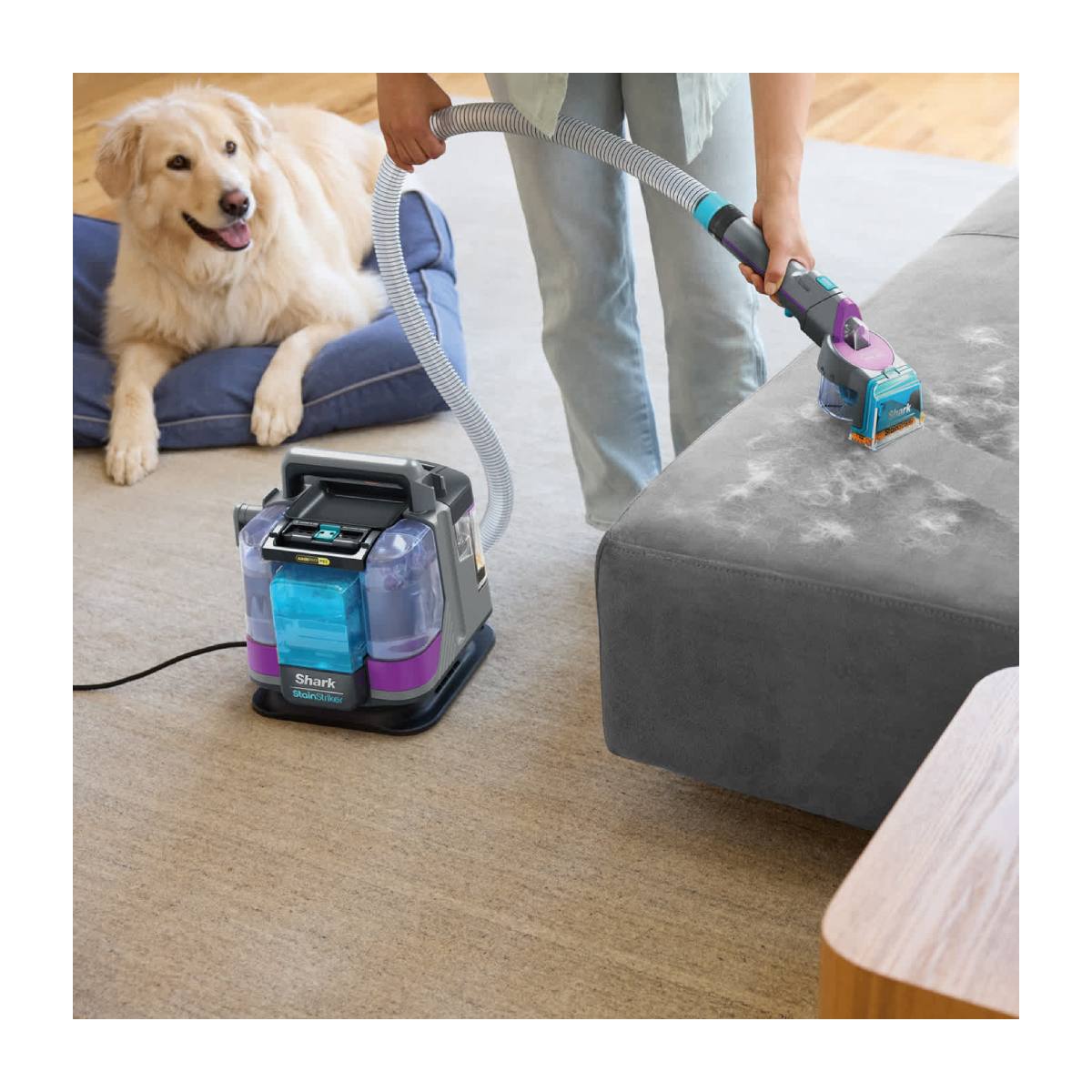 SHARK PX250EUT Stain Striker Ηλεκτρική Σκούπα Καθαρισμού Λεκέδων | Shark| Image 3