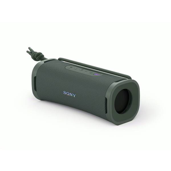 SONY SRSULT10H.CE7 ULT FIELD 1,  Bluetooth Φορητό Ηχείο, Forest Γκρίζο