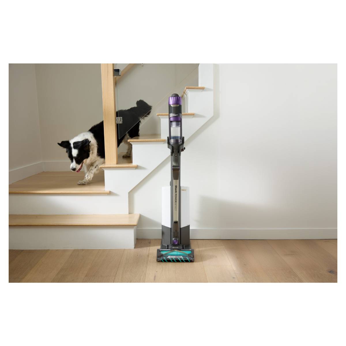 SHARK IP3251EUT PowerDetect Clean & Empty Ασύρματη Σκούπα Χειρός | Shark| Image 3