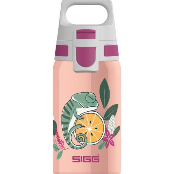 Image of suggested product: SIGG Shield One Μπουκάλι Νερού Για Παιδιά, Φλώρα